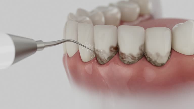 Reliable Dental contractor in Franconia, VA by Dentist Open Now